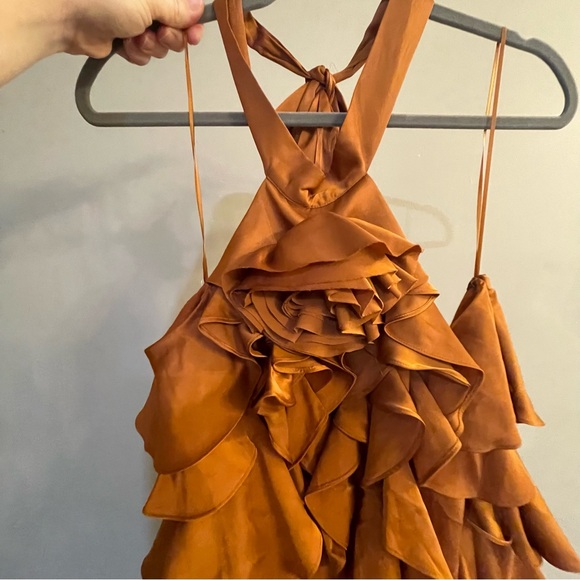 BHLDN MARIA ROSETTE RUFFLE MINI DRESS - Picture 5 of 9